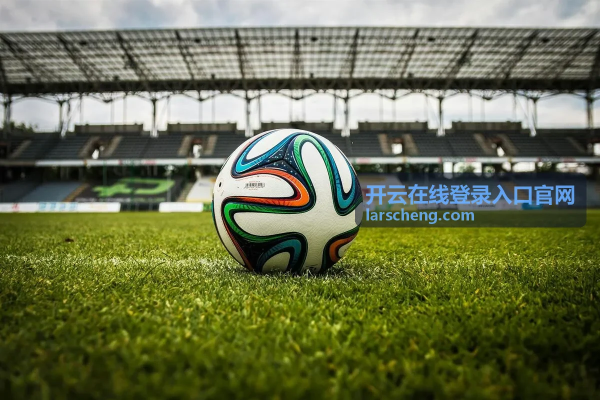 开云在线登录入口官网 安全校验环节操作说明示意